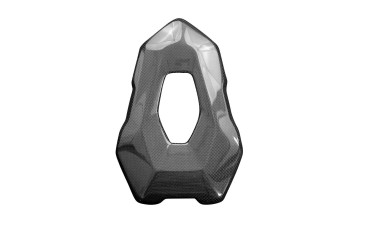 Carbon Pillion Seat Cover for BMW S 1000 R 2021- 