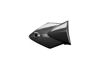 Carbon Soziussitz Abdeckung für BMW S1000RR 2010-2014 Carbon+Fiberglas | Leinwand | Glossy