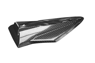 Capot de Selle Passager Carbone pour BMW S1000RR 2015- 