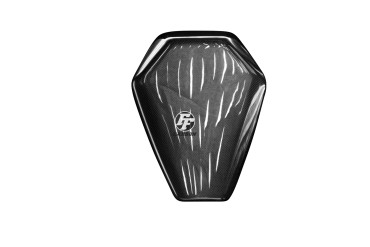 Cubierta de asiento de pasajero Carbono por Kawasaki ZX-10R 2016- 