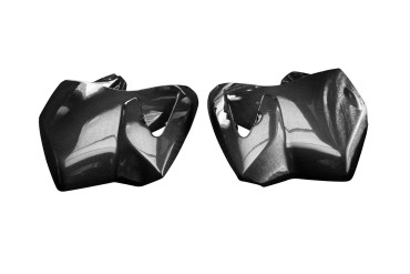 Carbon Tankverkleidung Seitenteile für BMW R 1200GS 2004-2007 