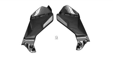 Carbon Tankverkleidung Seitenteile für BMW R1200 GS 2013-2016 