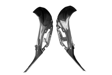 Carbon Tank Fairing (Lateral Parts) for BMW S 1000 R 2021- 