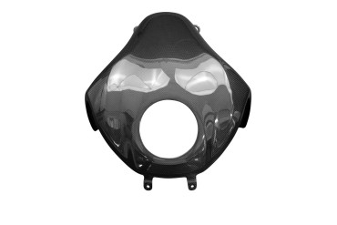 Carbon Tankverkleidung für Kawasaki Z900 2021- 