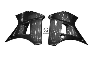 Carbon Tank Fairing for Yamaha TDR 250 Carbon+Fibreglass | Plain Weave | Glossy