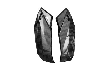 Carbon Lower Side Panels for BMW S 1000 R 2021- 