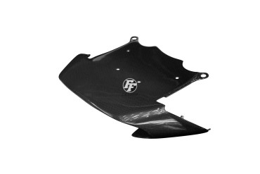 Carbon Verkleidungsteil für Kawasaki ZX 12 R 2002-2005 
