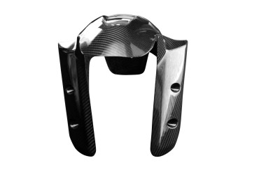 Carbon Front Fender for Ducati Multistrada V4 2021- 