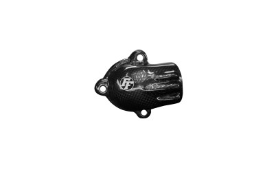 Carbon Wasserpumpe Cover für BMW K1300R 