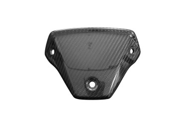 Carbon Windshield (Cover) for BMW S 1000 R 2021- 