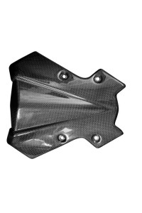 Carbon Windschutz (alternatives Design) für Kawasaki Z900 2020- 