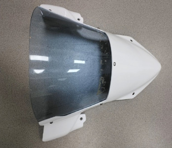 Carbon Windschutz für BMW S 1000 RR 2021- 