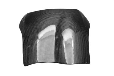 Carbon Windschutz für Buell S1 Carbon+Fiberglas | Leinwand | Glossy