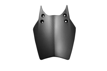 Carbon Windschutz für KTM 990 Super Duke / R 2007-2013 