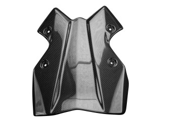 Carbon Windschutz für Kawasaki Z650 2020- 