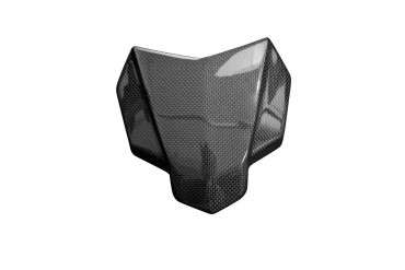 Carbon Windschutz für Yamaha MT-10 2016-2021 