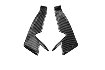 Carbon Winglets für Aprilia RS 660 