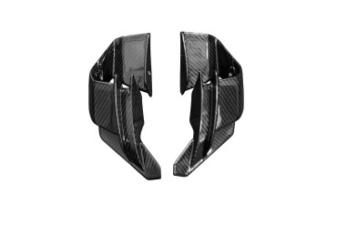 Carbon Winglets für Aprilia RS 660 