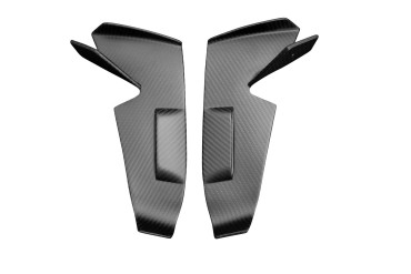 Carbon Winglets für Aprilia RS 660 
