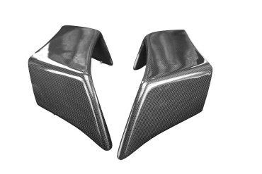 Winglets Carbonio per Aprilia RSV4 2010-2020 
