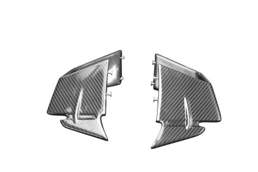 Winglets Carbone pour BMW M 1000 RR 2020- 