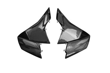 Winglets Carbono por BMW M1000RR 2023- 