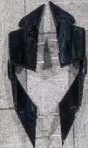 Carbon Winglets for BMW S 1000 R 2021- 