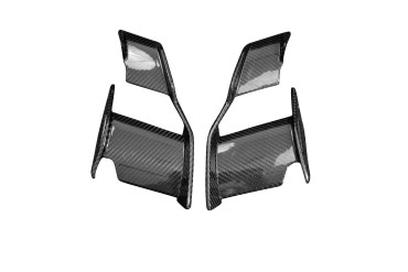 Winglets Carbonio per BMW S 1000 RR 2019- / M 1000 RR 2021- / S 1000 R 2021- Carbonio+Fibra di Vetro | Tela | Brillante