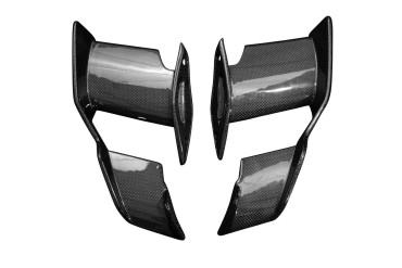Carbon Winglets für BMW S 1000 RR 2019- / M 1000 RR 2021- / S 1000 R 2021- Carbon+Fiberglas | Leinwand | Glossy
