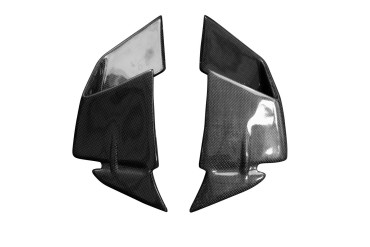 Carbon Winglets for BMW S1000RR 2019- 