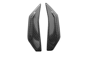 Carbon Winglets for BMW S1000RR 2019- 