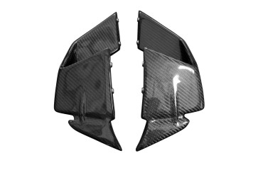 Carbon Winglets für BMW S1000RR 2019- Carbon+Fiberglas | Köper | Glossy