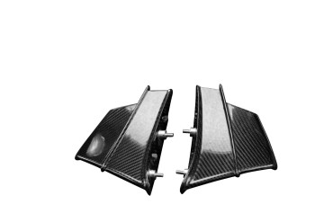 Winglets Carbonio per Ducati Panigale V4R 2019-2021 