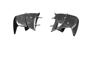 Winglets Carbono por Ducati Panigale V4R 2019-2021 Carbono+Fibra de Vidrio | Patron Sencillo | Brillante