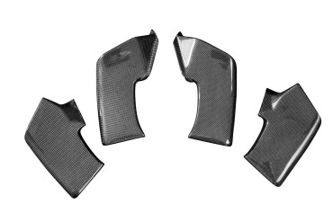 Winglets Carbone pour Ducati Streetfighter V4 Carbone+Fibre de Verre | Toile Contraignant | Brillant