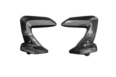 Covertor del cilindro Carbono por BMW R 1250 GS 2017- 