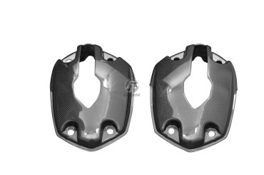 Carbon Zylinderabdeckung für BMW R1200 GS + Adventure 2004-2009 / R1200 S / R1200 R Carbon+Fiberglas | Leinwand | Glossy