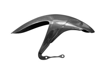Guardafango posterior Carbono por BMW R 1100 S / Boxer Cup /R 1150GS/1150R 