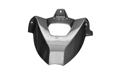 Carbon hinteres Schutzblech für BMW S1000RR 2010-2018 / S1000R 2014-2020 