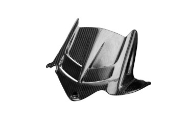 parafango posteriore Carbonio per Kawasaki ZX-6R 2009-2012 100% Carbonio | Spigato | Brillante