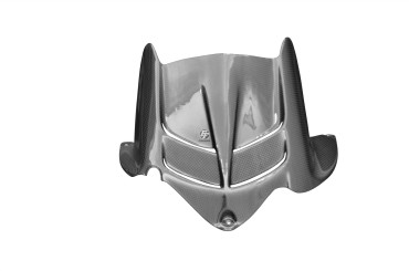 parafango posteriore Carbonio per Kawasaki ZX-6R 2009-2012 100% Carbonio | Tela | Brillante
