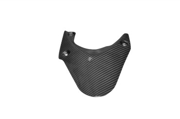 Carbon hinteres Schutzblech für Triumph Daytona 675 2006-2012 Carbon+Fiberglas | Köper | Glossy