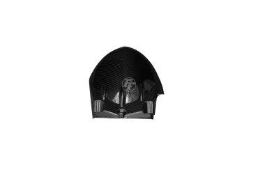 parafango posteriore Carbonio per Triumph Speed Triple 1050 2005-2010 