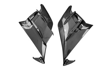 Carbon Inner Side Fairing for Aprilia Tuono V4 2021- 