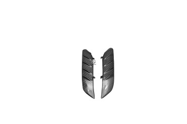Carbon vorderes Schutzblech Seitenteile für Kawasaki ZZR 1400 2006-2020 / ZX-14R 2006-2015 