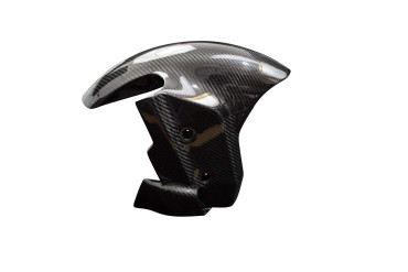 Guardafango frontal Carbono por BMW M1000RR 2023- 