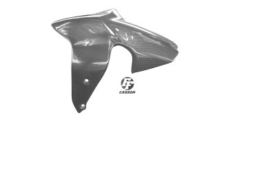parafango anteriore Carbonio per Ducati Monster 1200 / 1200S / 821 / 797 2014-2018 Carbonio+Fibra di Vetro | Tela | Brillante