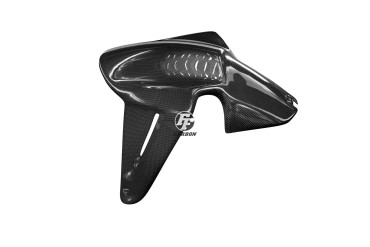 parafango anteriore Carbonio per Ducati XDiavel Carbonio+Fibra di Vetro | Tela | Brillante