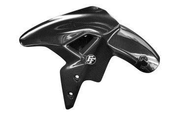 Garde boue avant Carbone pour Kawasaki Z900 2017- 